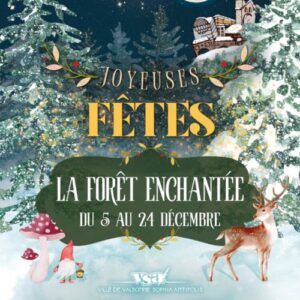 Valbonne-Noel-2024